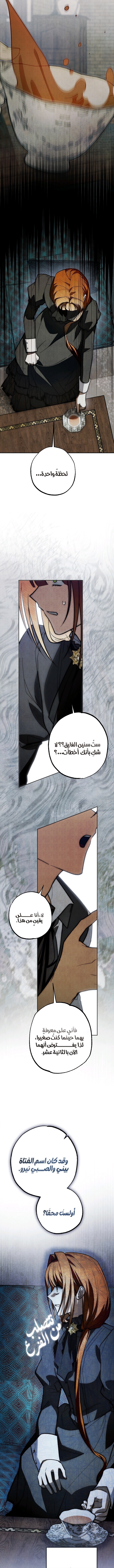 أهلًا بك في قصر الروز الفصل 31 صفحة 13